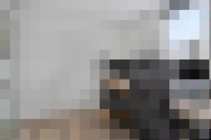 Voorplecht 29 Dronten thumbnail 25