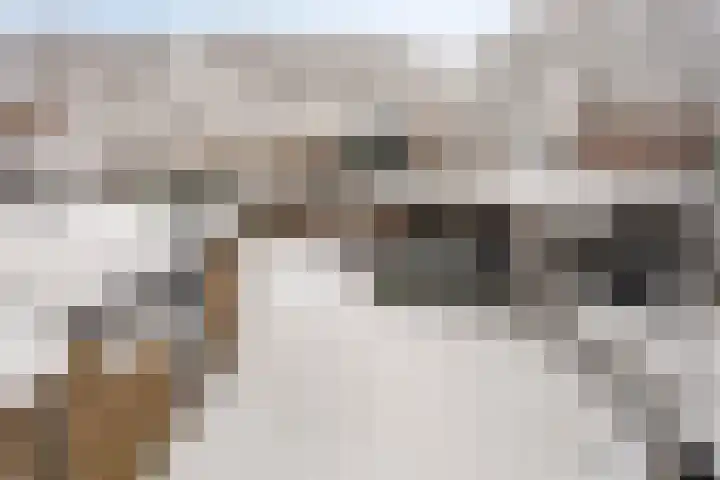 Voorplecht 29 Dronten thumbnail 33