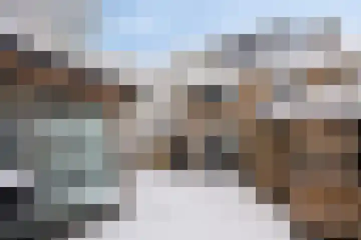 Voorplecht 29 Dronten thumbnail 35