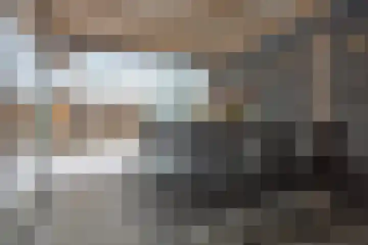 Voorplecht 29 Dronten thumbnail 38