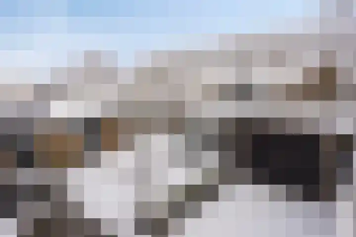 Voorplecht 29 Dronten thumbnail 41