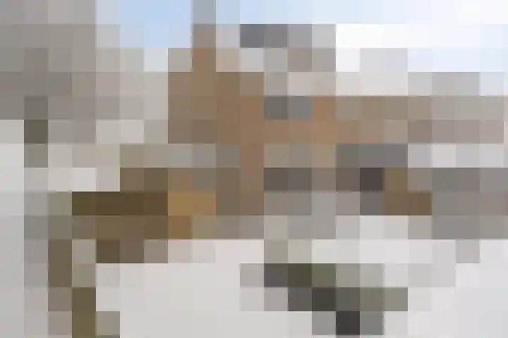 Voorplecht 29 Dronten thumbnail 44