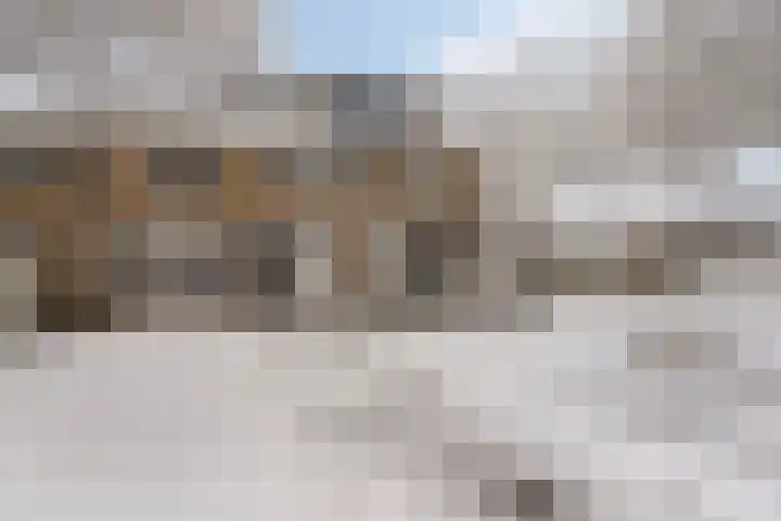 Voorplecht 29 Dronten thumbnail 47