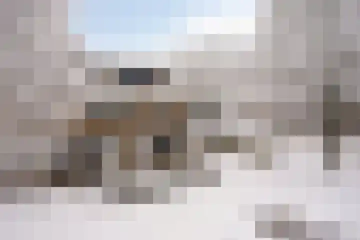 Voorplecht 29 Dronten thumbnail 5