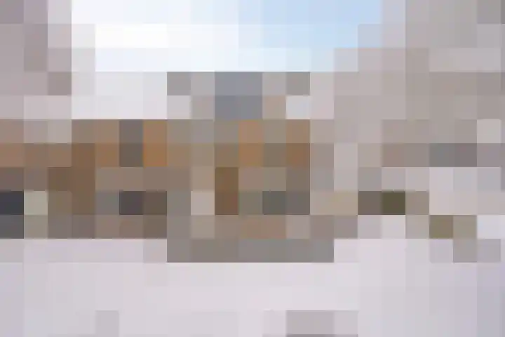 Voorplecht 29 Dronten thumbnail 52