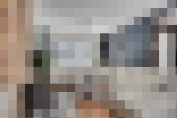Voorplecht 29 Dronten thumbnail 8