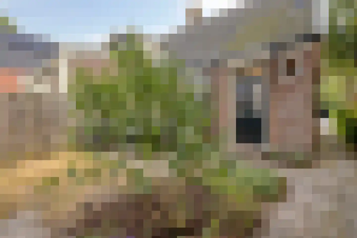 Voorpolderweg 9 Dirkshorn thumbnail 10