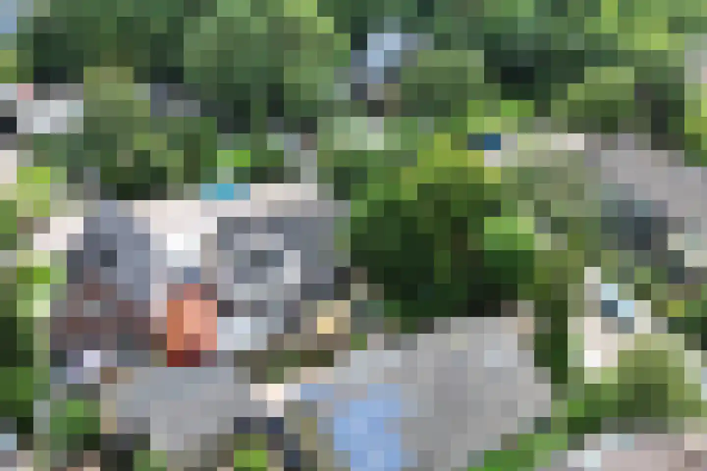 Voorpolderweg 9 Dirkshorn thumbnail 31