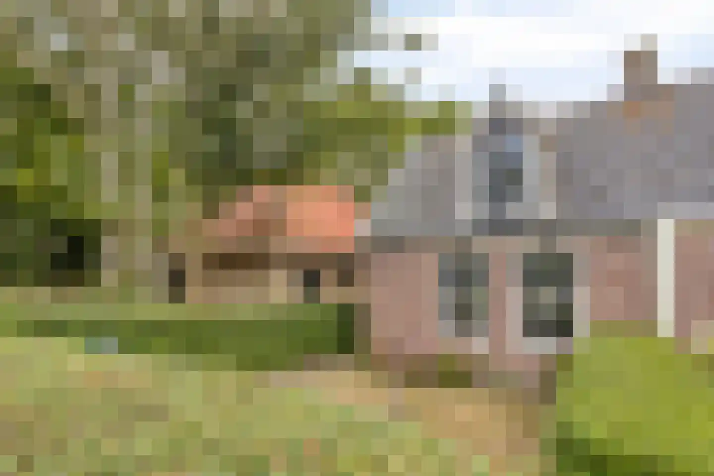Voorpolderweg 9 Dirkshorn thumbnail 33