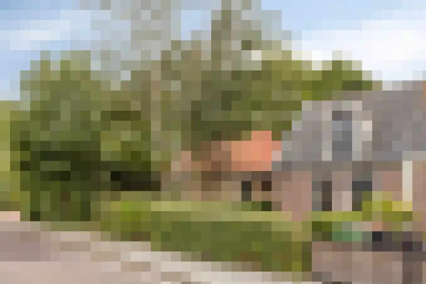 Voorpolderweg 9 Dirkshorn thumbnail 34