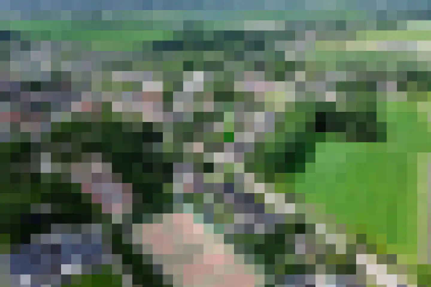 Voorpolderweg 9 Dirkshorn thumbnail 5