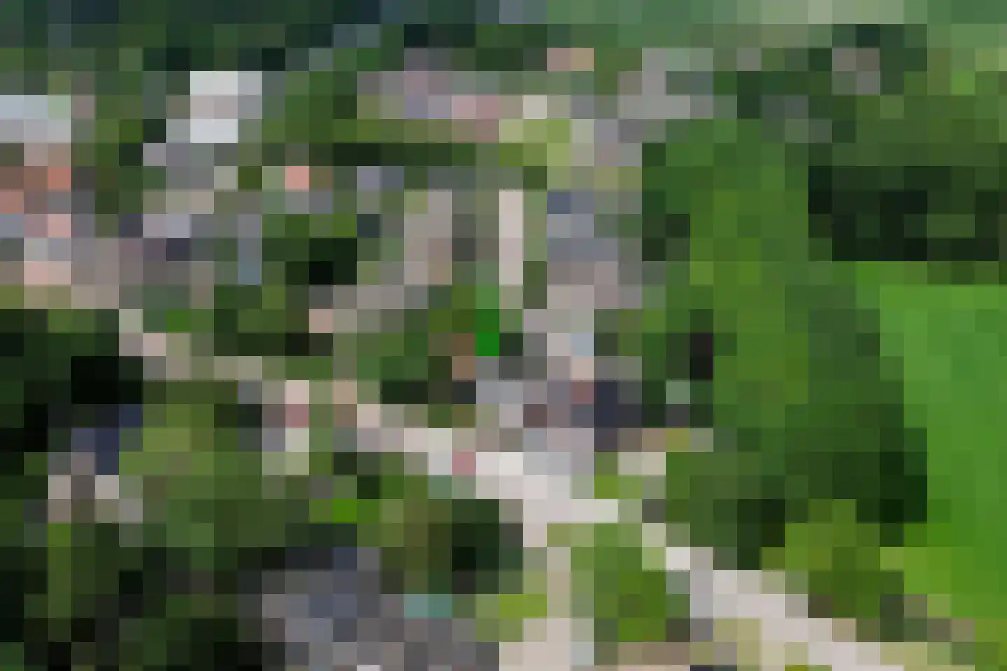 Voorpolderweg 9 Dirkshorn thumbnail 6