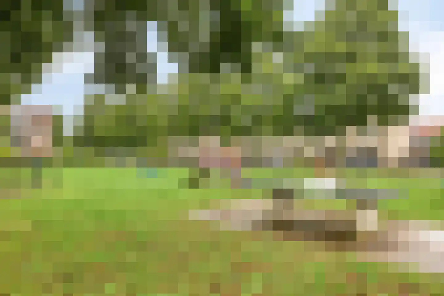 Voorpost 3 Leusden thumbnail 44