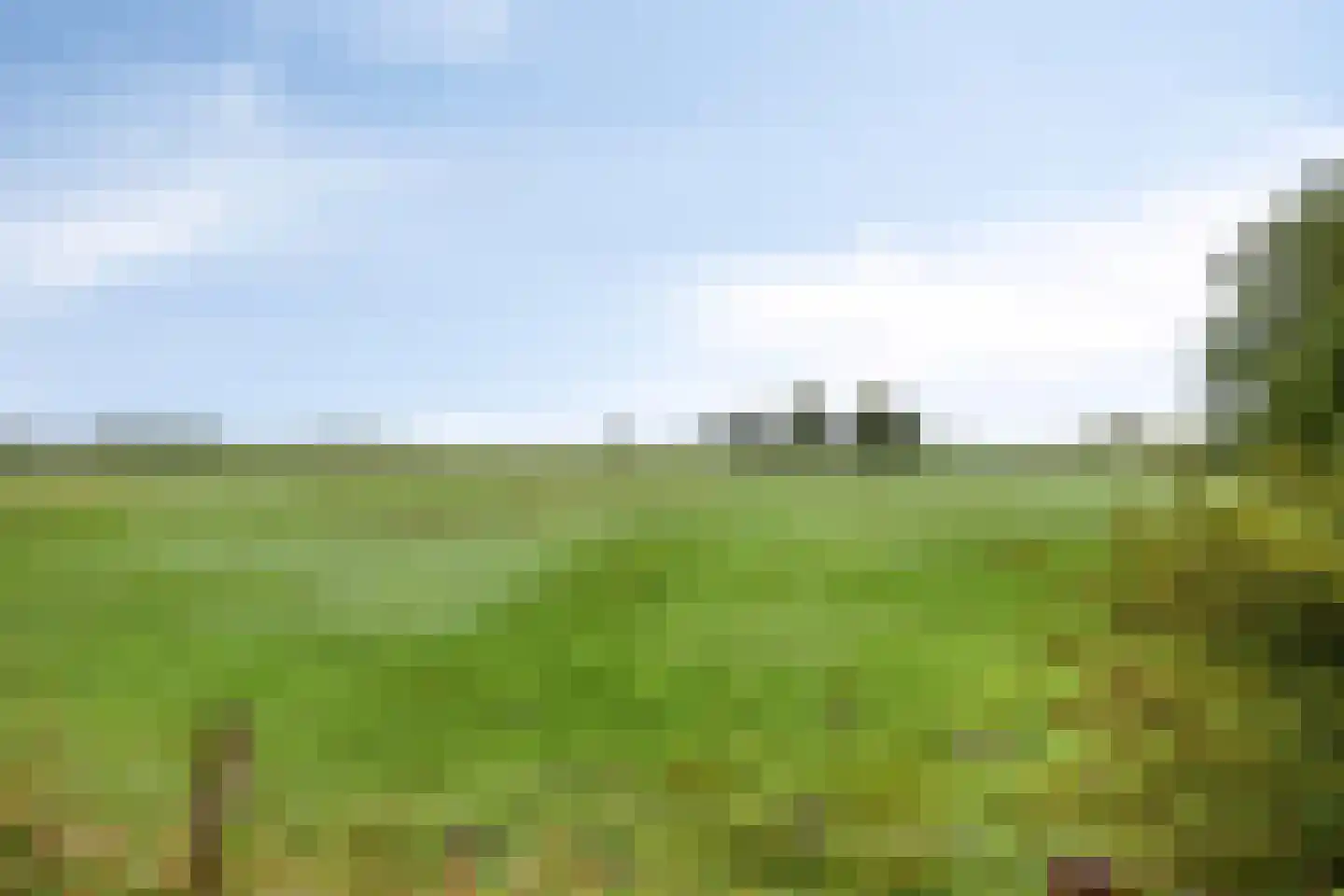 Voorpost 3 Leusden thumbnail 46