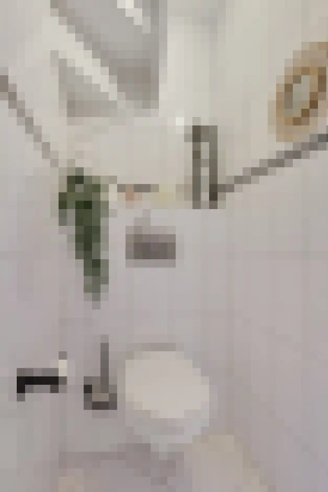 Voorschotenhof 12 Arnhem thumbnail 12