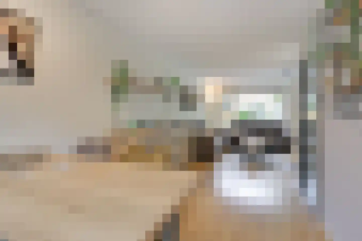 Voorschotenhof 12 Arnhem thumbnail 19
