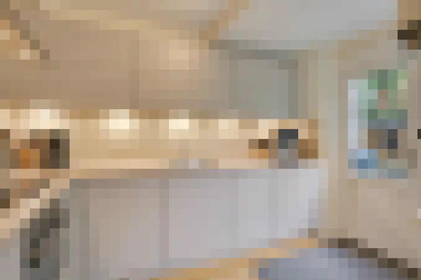 Voorschotenhof 12 Arnhem thumbnail 21