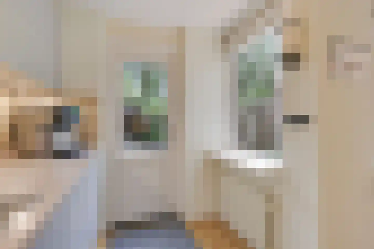 Voorschotenhof 12 Arnhem thumbnail 22