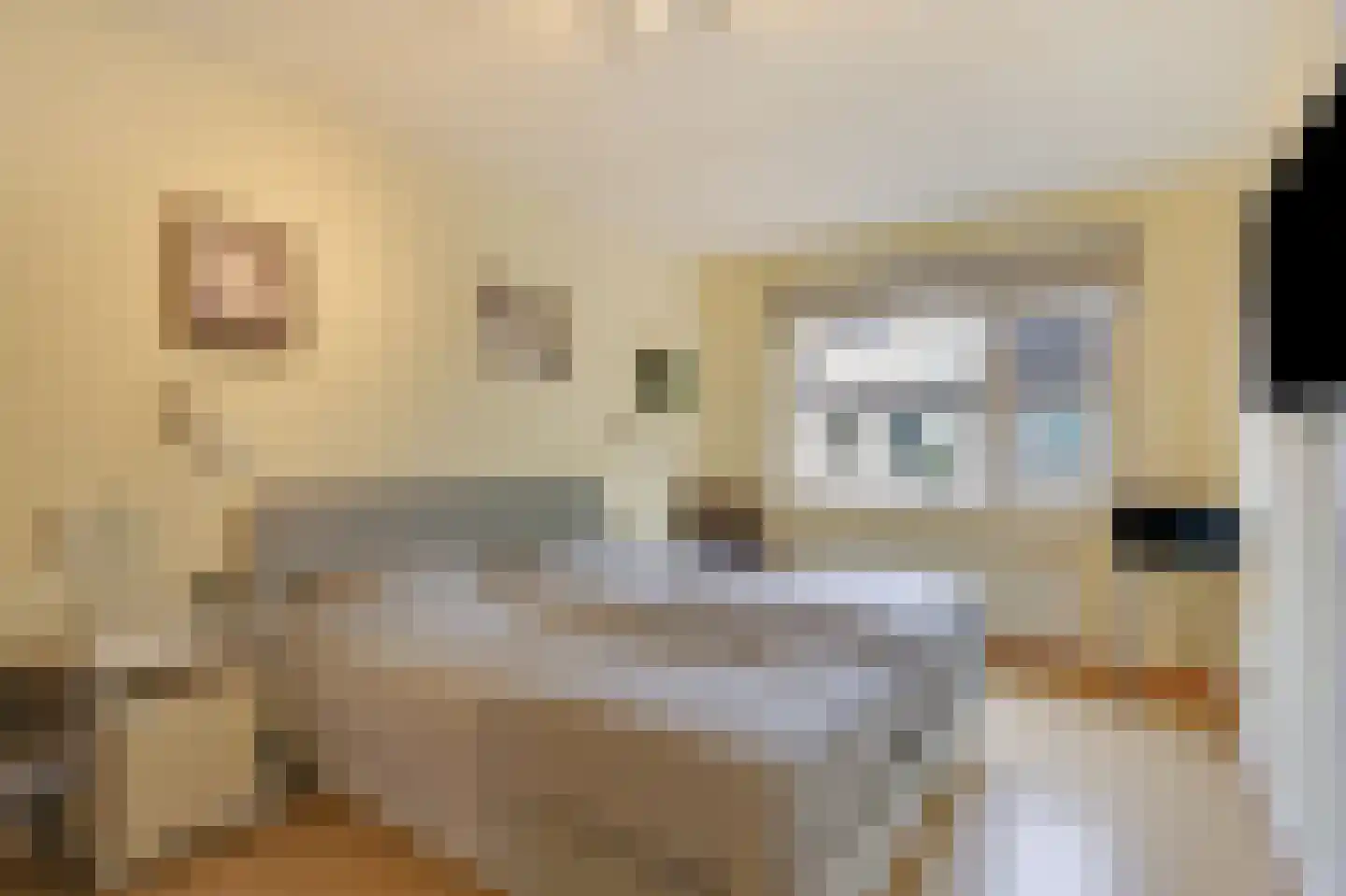 Voorschotenhof 12 Arnhem thumbnail 25