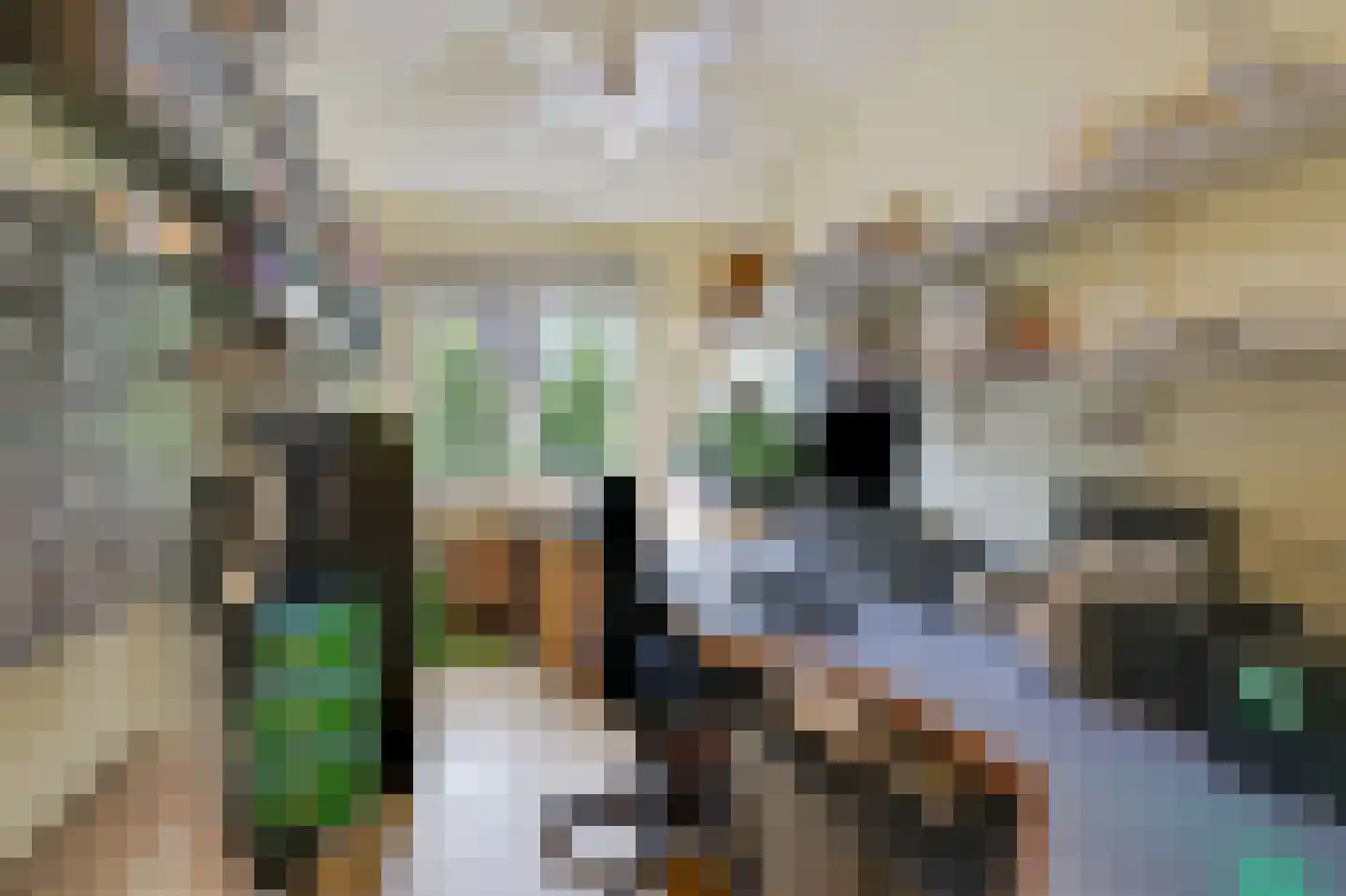 Voorschotenhof 12 Arnhem thumbnail 35