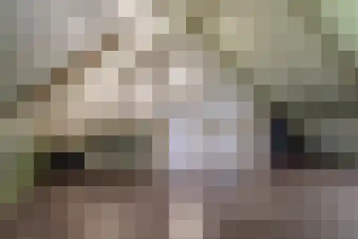 Voorschotenstraat 11 Tilburg thumbnail 23