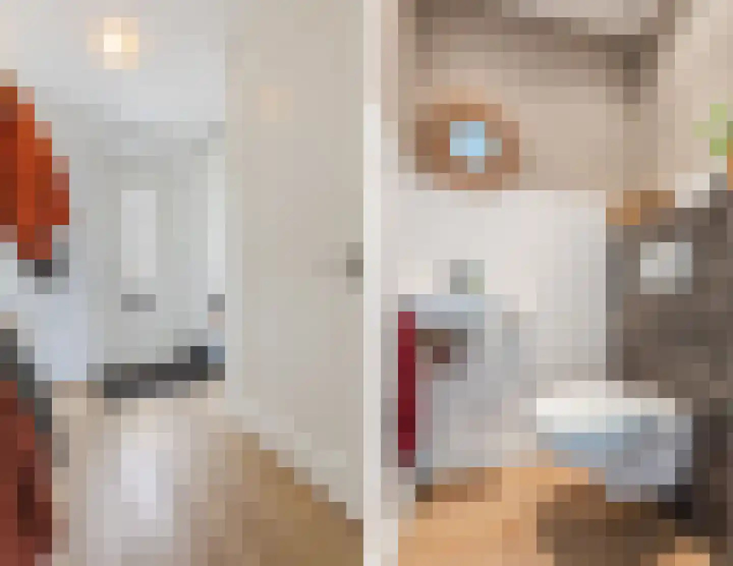 Voorschotenstraat 51 Tilburg thumbnail 11