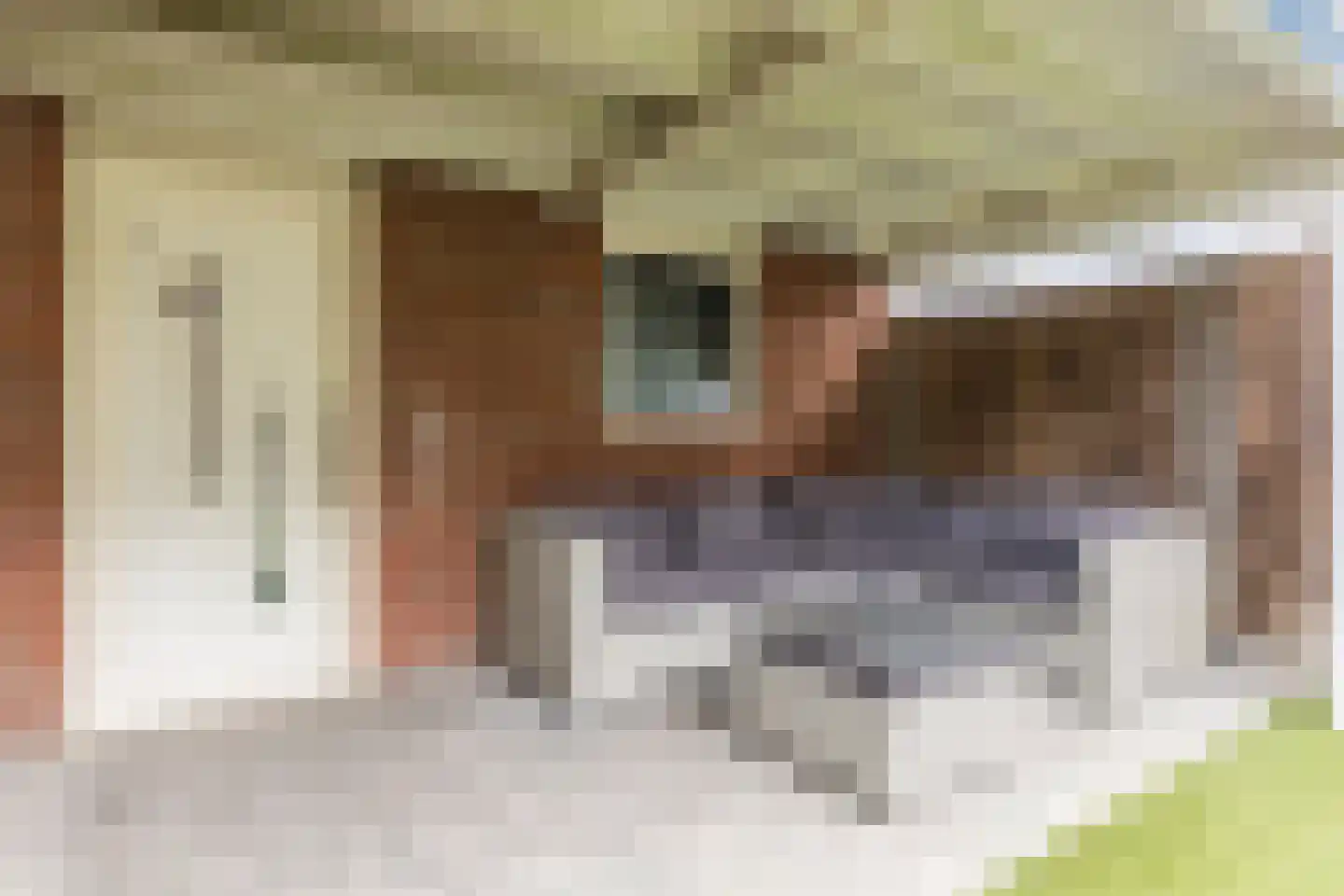 Voorschotenstraat 51 Tilburg thumbnail 29