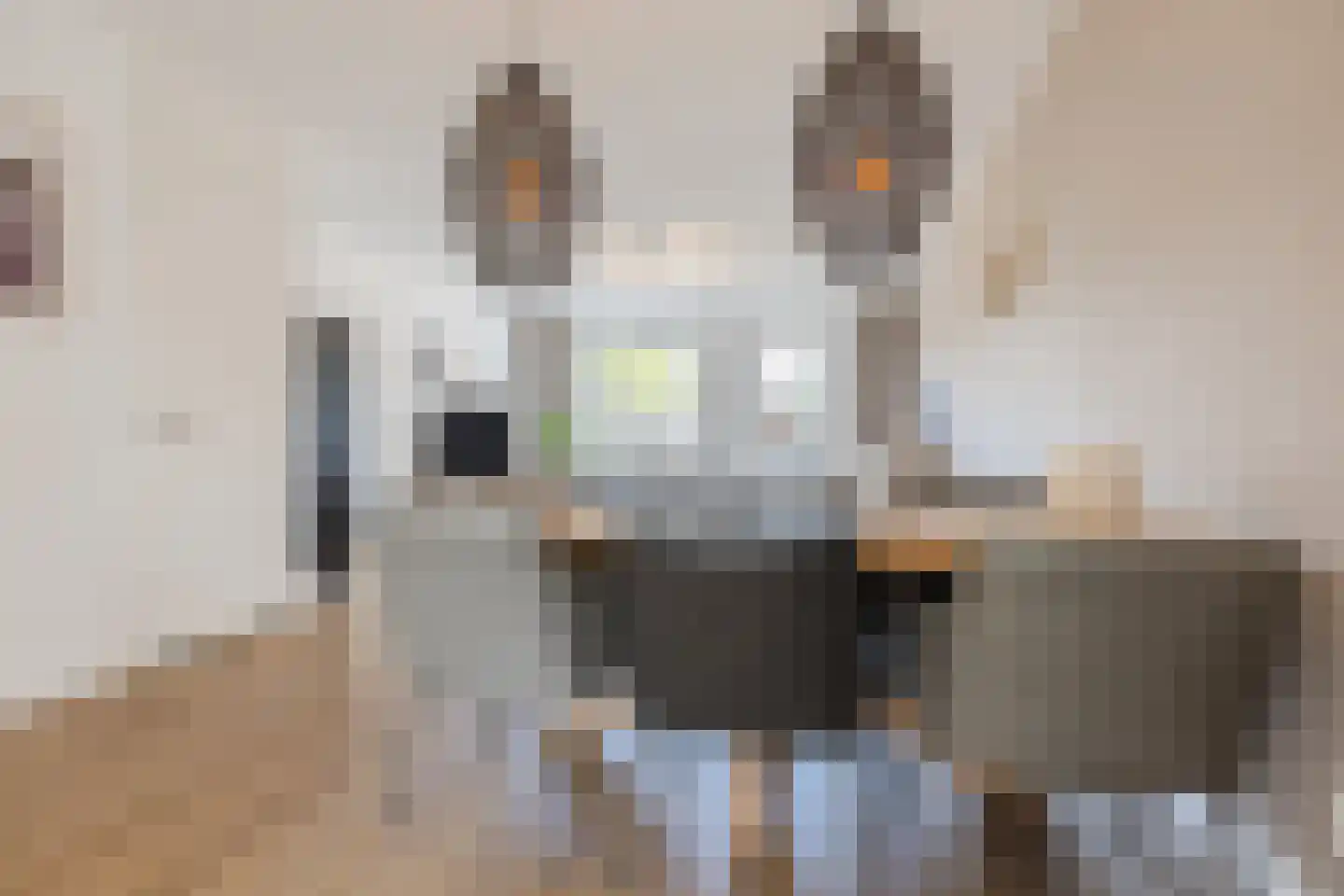 Voorschotenstraat 51 Tilburg thumbnail 7