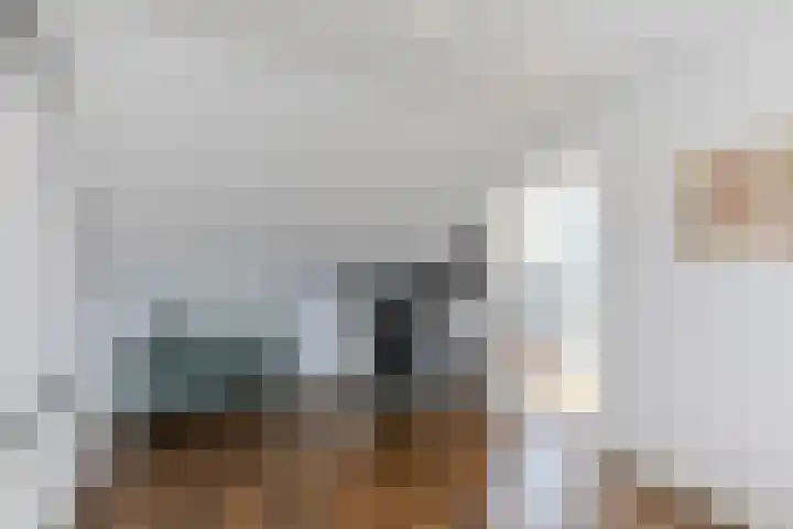 Voorschotenstraat 60 Tilburg thumbnail 31