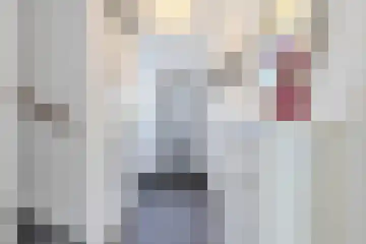 Voorschotenstraat 60 Tilburg thumbnail 5