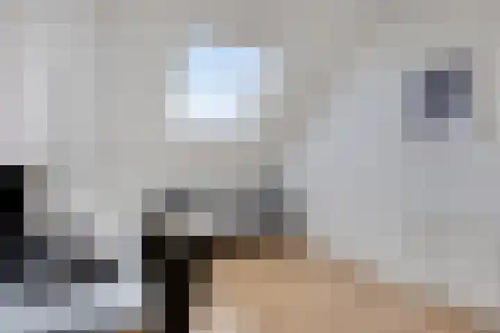 Voorschotenstraat 78 Tilburg thumbnail 27