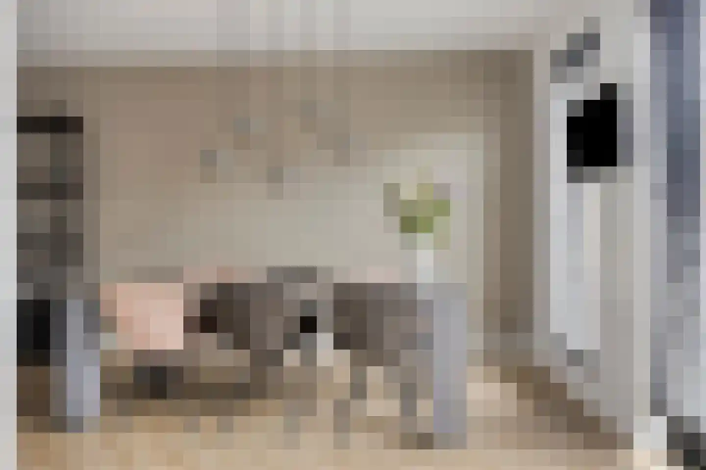 Voorschotenstraat 84 Tilburg thumbnail 9