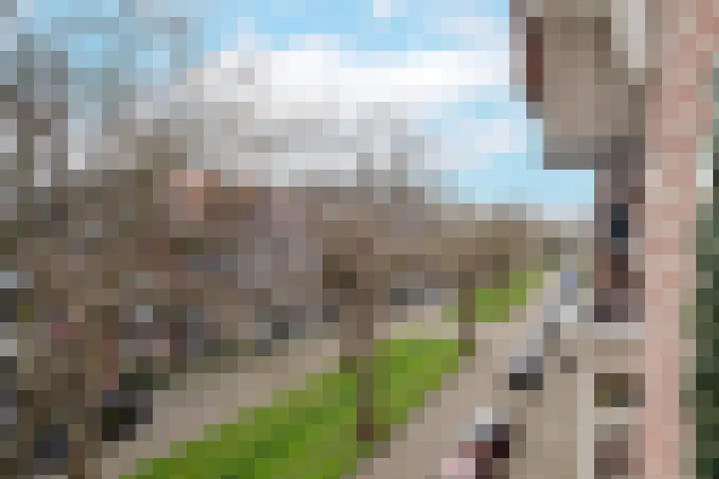 Voorschoterlaan 101 Rotterdam thumbnail 39