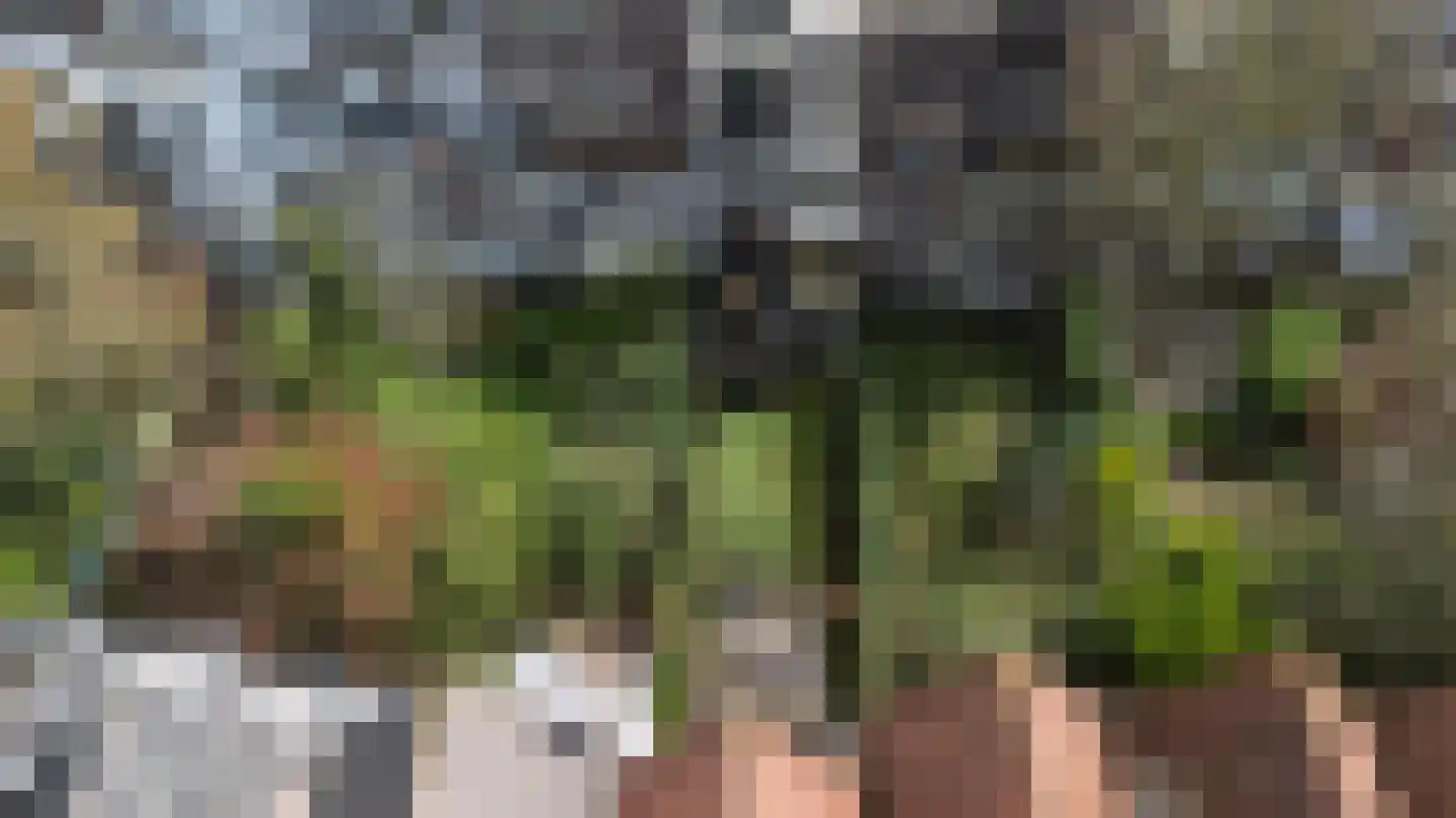 Voorschoterlaan 101 Rotterdam thumbnail 41