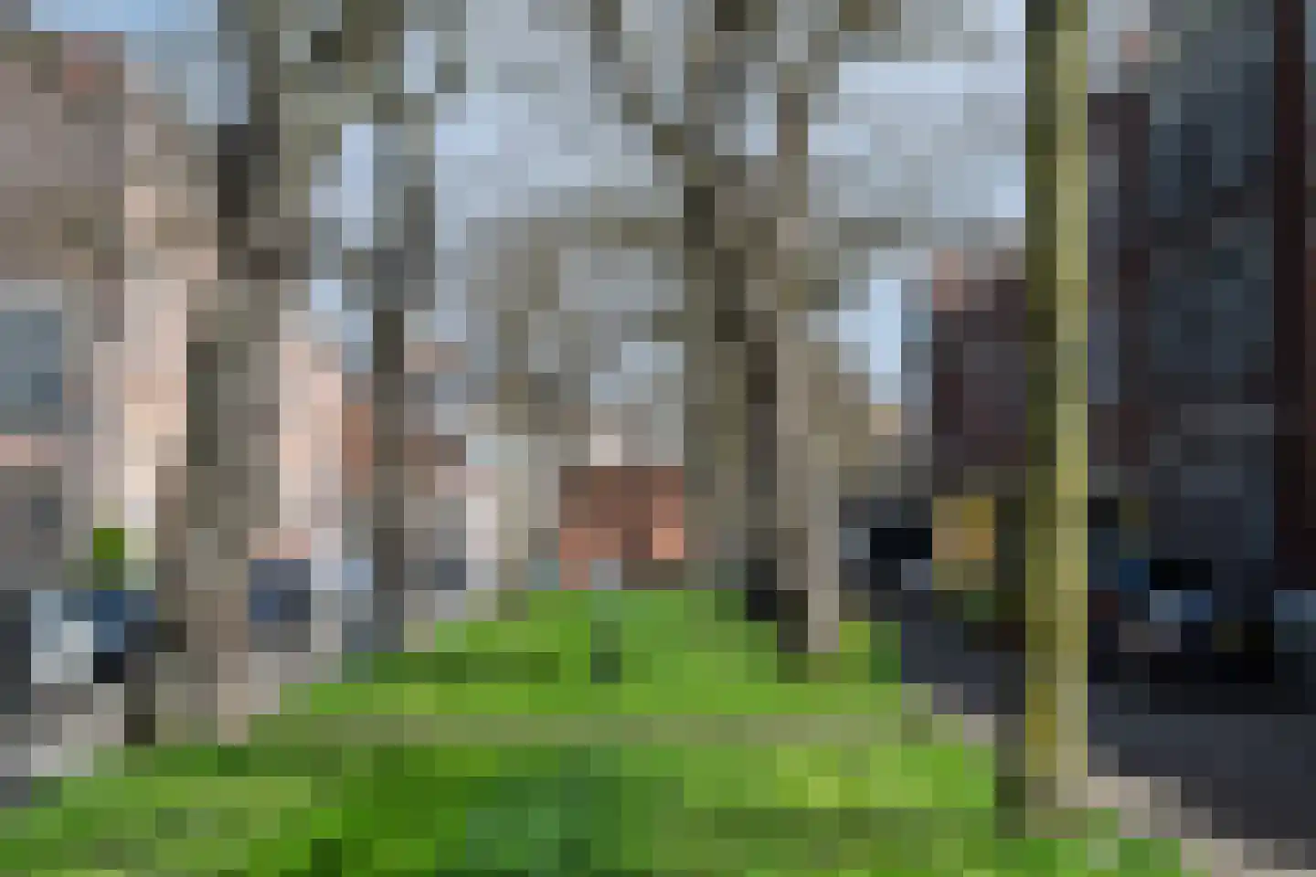 Voorschoterlaan 101 Rotterdam thumbnail 46