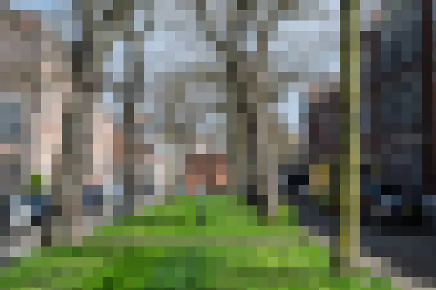 Voorschoterlaan 101 Rotterdam thumbnail 46