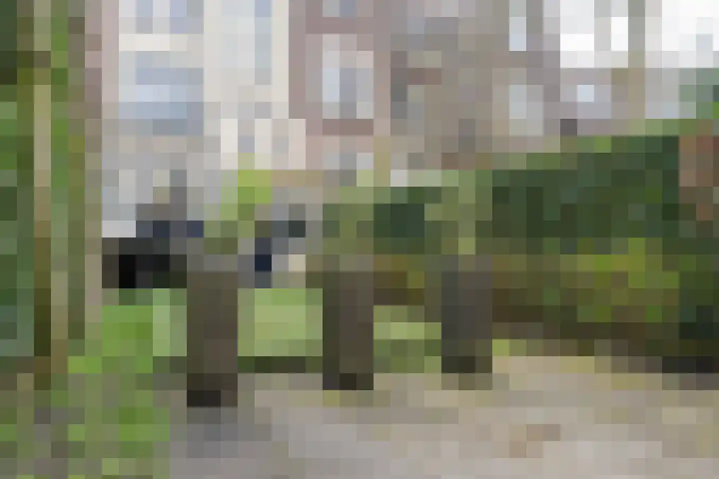 Voorschoterlaan 101 Rotterdam thumbnail 48