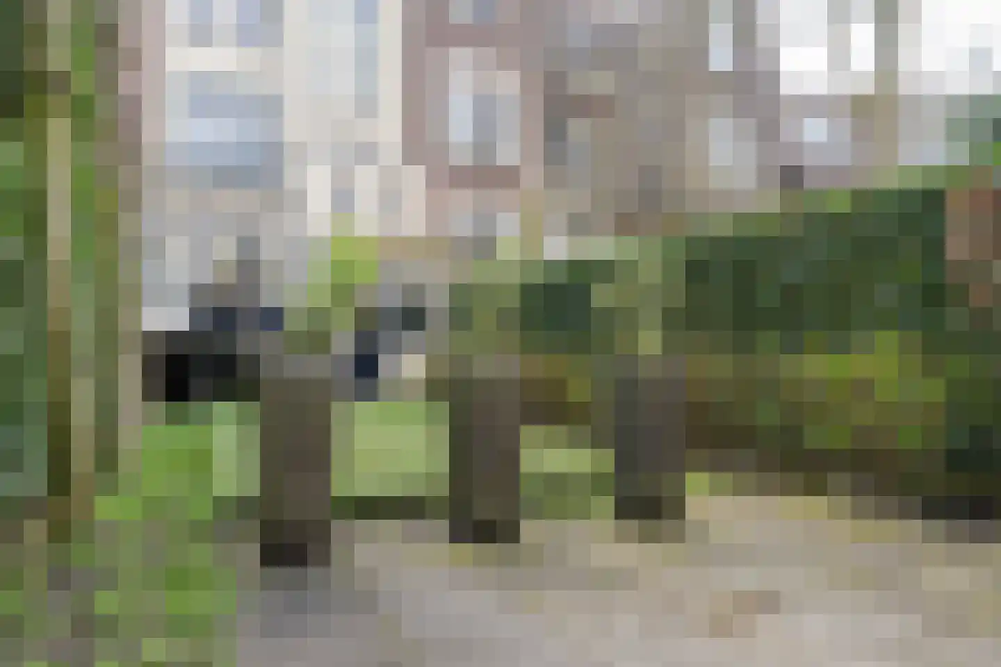 Voorschoterlaan 101 Rotterdam thumbnail 48