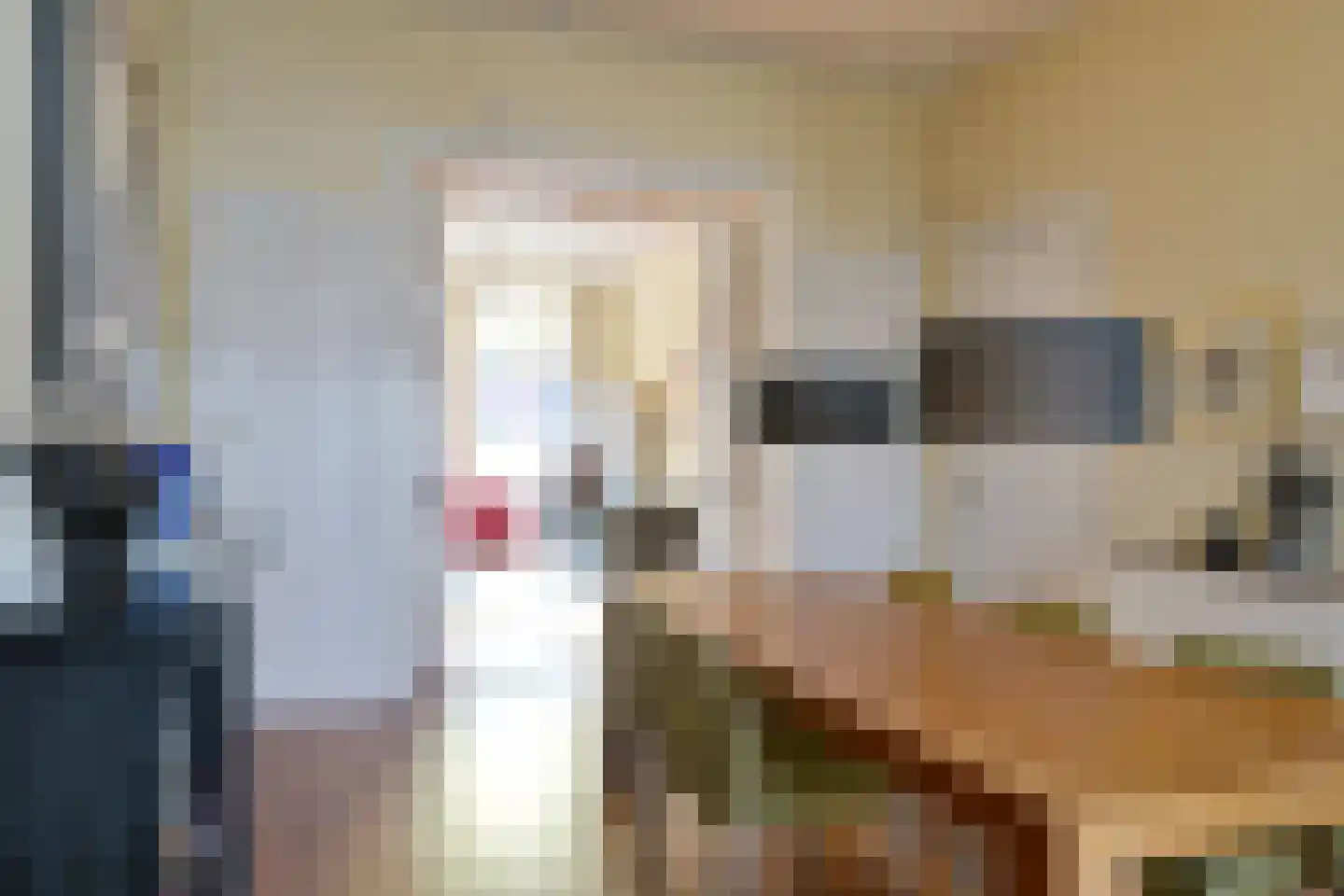 Voorschoterlaan 101 Rotterdam thumbnail 9