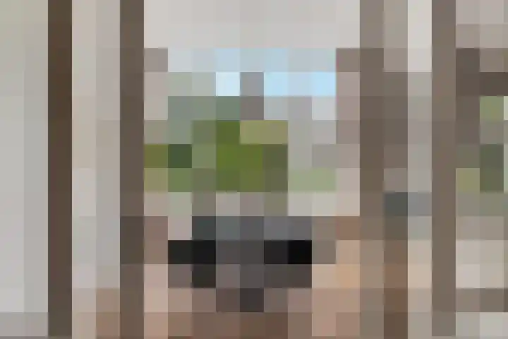Voorschoterlaan 117 B Rotterdam thumbnail 12