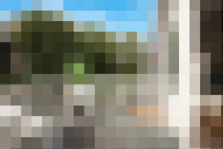 Voorschoterlaan 117 B Rotterdam thumbnail 14