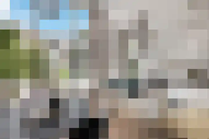 Voorschoterlaan 117 B Rotterdam thumbnail 15