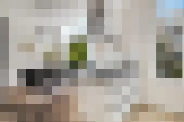 Voorschoterlaan 117 B Rotterdam thumbnail 16