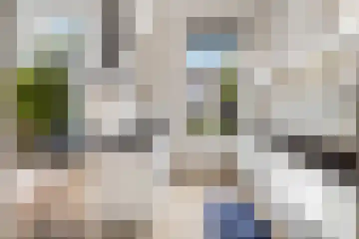 Voorschoterlaan 117 B Rotterdam thumbnail 17