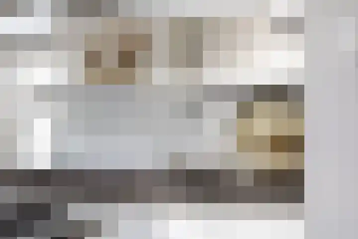 Voorschoterlaan 117 B Rotterdam thumbnail 21