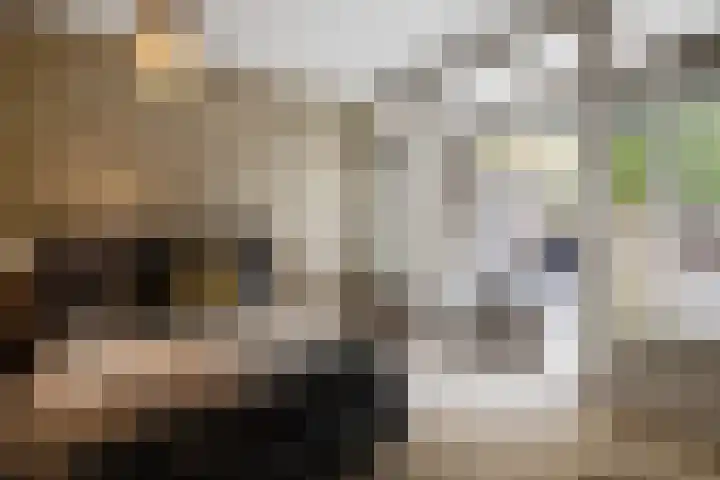 Voorschoterlaan 117 B Rotterdam thumbnail 30