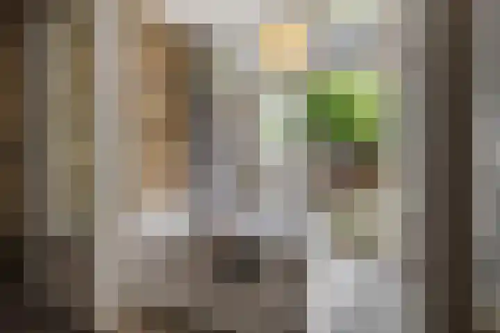 Voorschoterlaan 117 B Rotterdam thumbnail 31