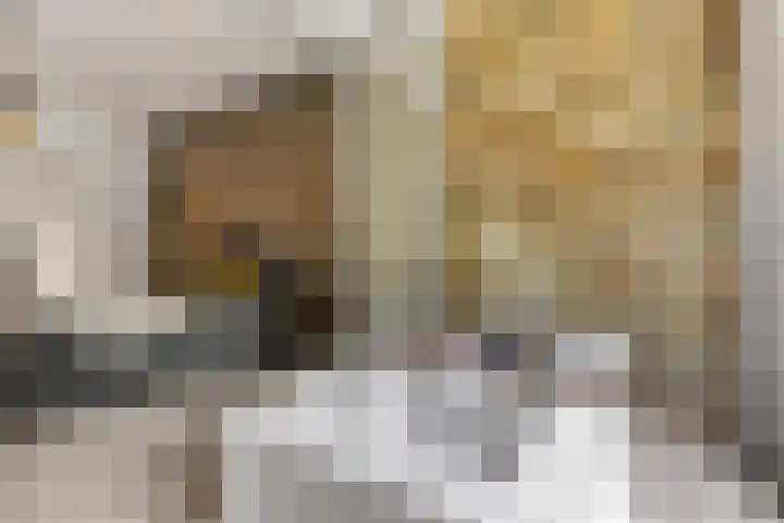 Voorschoterlaan 117 B Rotterdam thumbnail 32