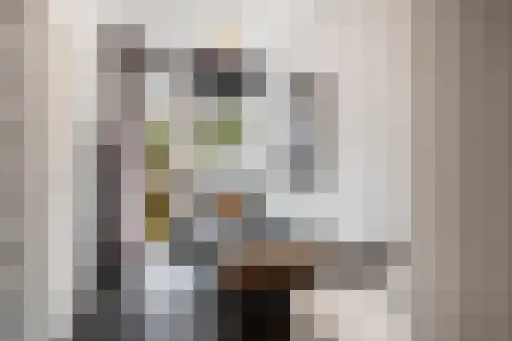 Voorschoterlaan 117 B Rotterdam thumbnail 34
