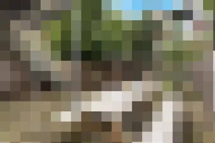 Voorschoterlaan 117 B Rotterdam thumbnail 40